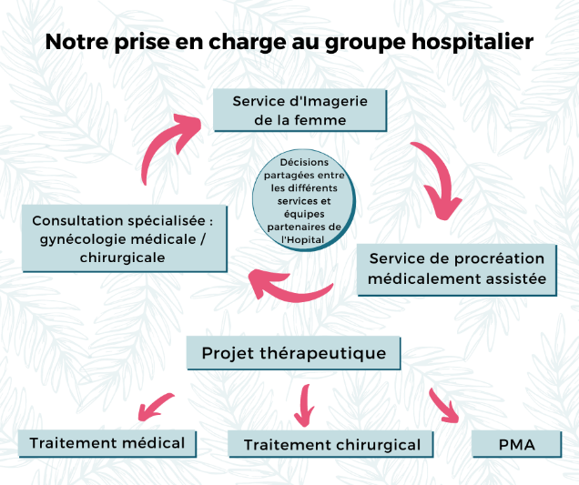 Endométriose schéma