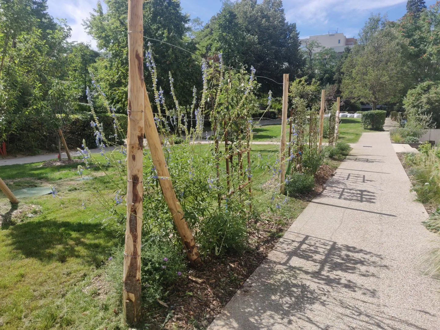 jardin